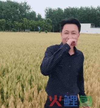寻找下一个秀才