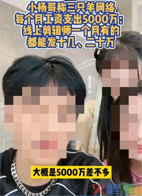 玩命赚钱缴税2亿！小杨哥的“疯狂”好炸裂
