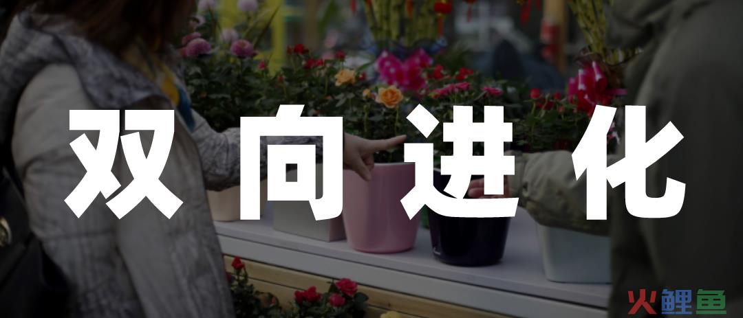 即时零售崛起，鲜花经济蓄势再进化