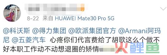 胡歌“退圈”失败后，这品牌炸锅！