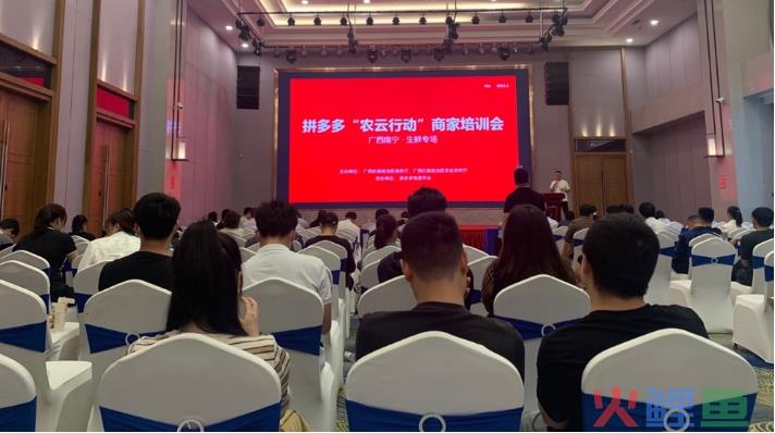 拼多多：比超预期更重要的是，“高质量”齿轮开始转动了