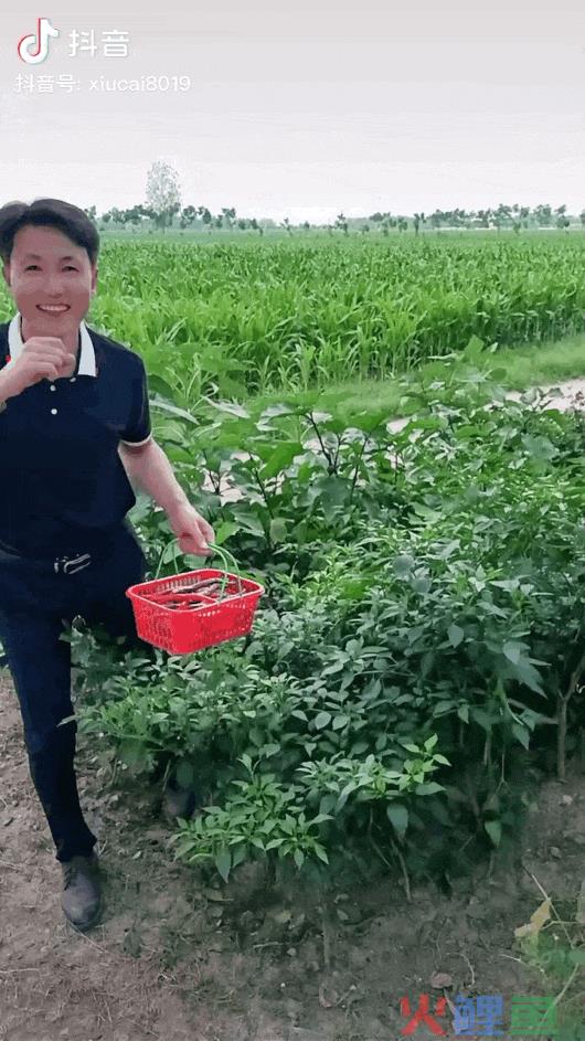 网红地域图鉴：云南“滇疯赛”，天津下大爷，一半顶流在安徽