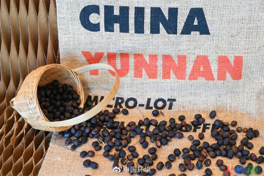 恩格尔系数拉满，新老国货冲上场