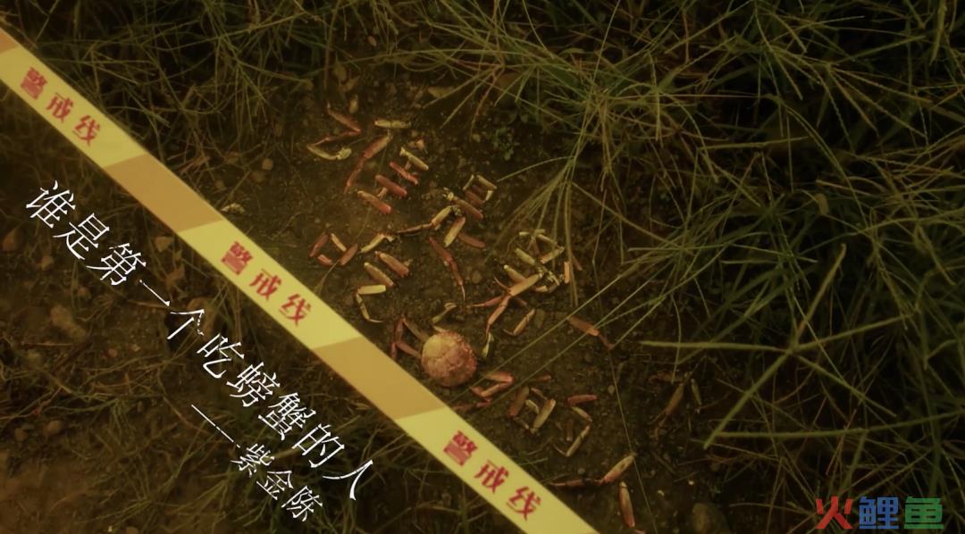 京东请知名作家，为中国5亿农民写了一组文案