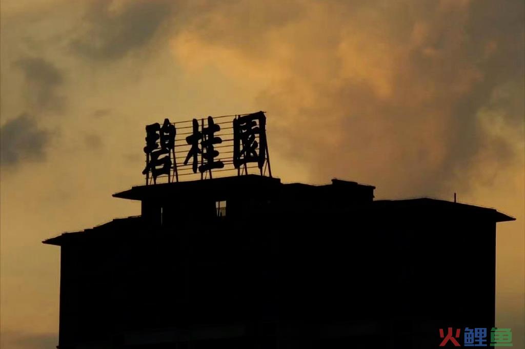 碧桂园裁员2000人！