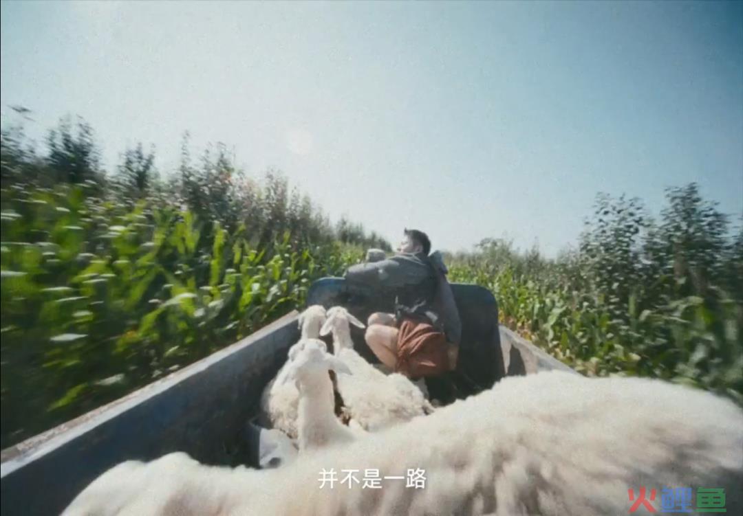 高德版《人在囧途》，让你一口气刷完四部公路片