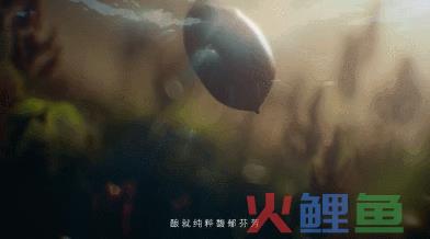 白酒营销元年，这条电影级TVC绝了！