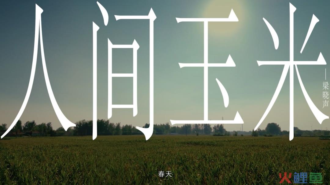 京东请知名作家，为中国5亿农民写了一组文案