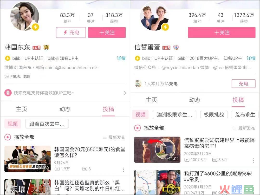 外国博主，还能“坐地吸金”吗？