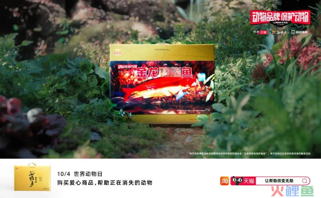 大批错版商品被上架,天猫发生了什么?