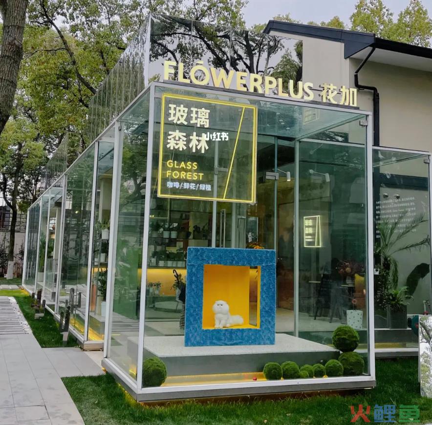 头部品牌停业整顿，鲜花电商的中场战事迎来拐点？