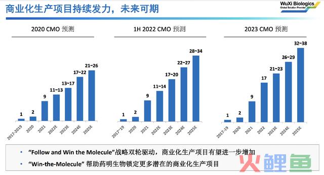 暴跌70%，再遭20cm跌停，超级龙头暴雷了？张坤看走眼了？