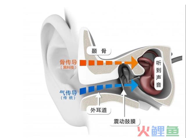 技术路线扩容，韶音的雄心不止于骨传导耳机？
