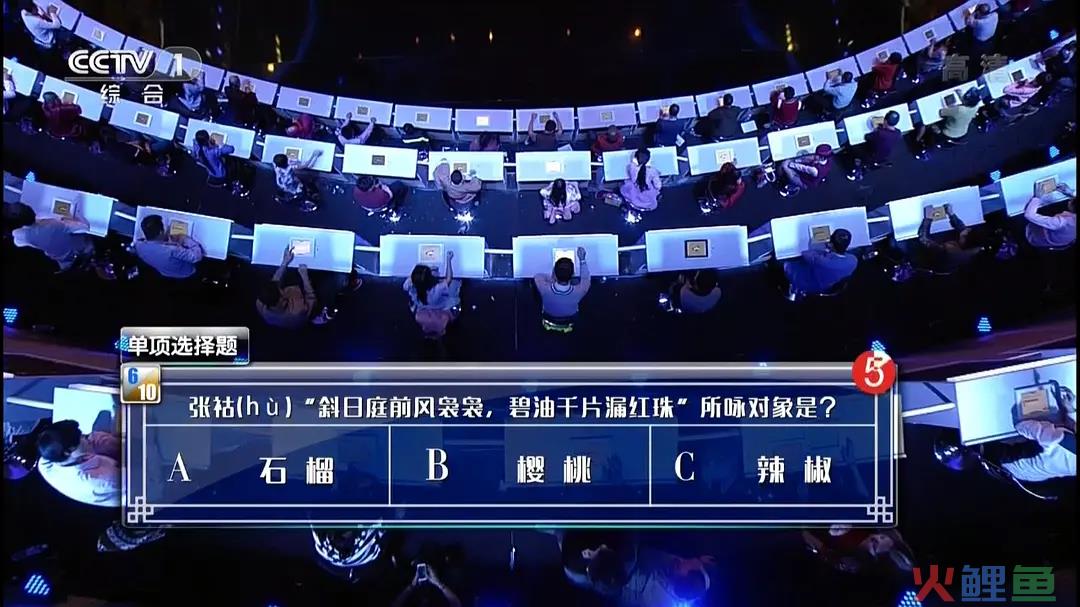 文化类节目出圈，谁在圈粉年轻人？