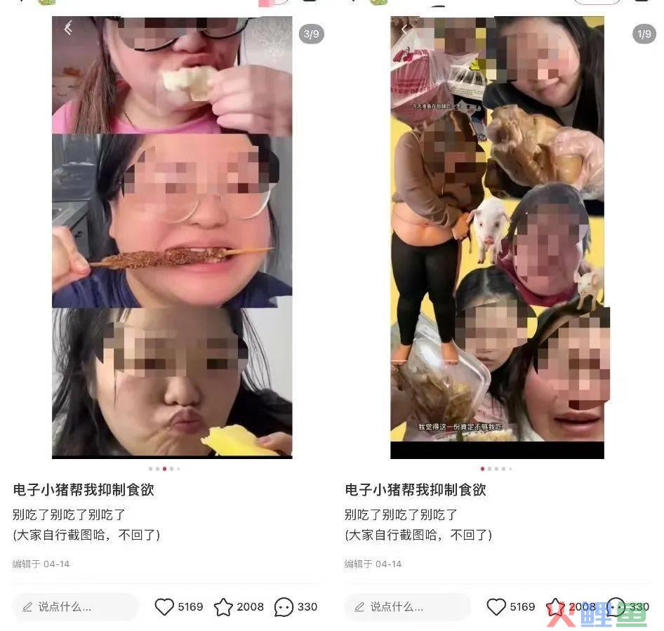 困在暴食流量里的“电子小猪”：连吃102个馒头涨粉百万，假吃掉粉20万