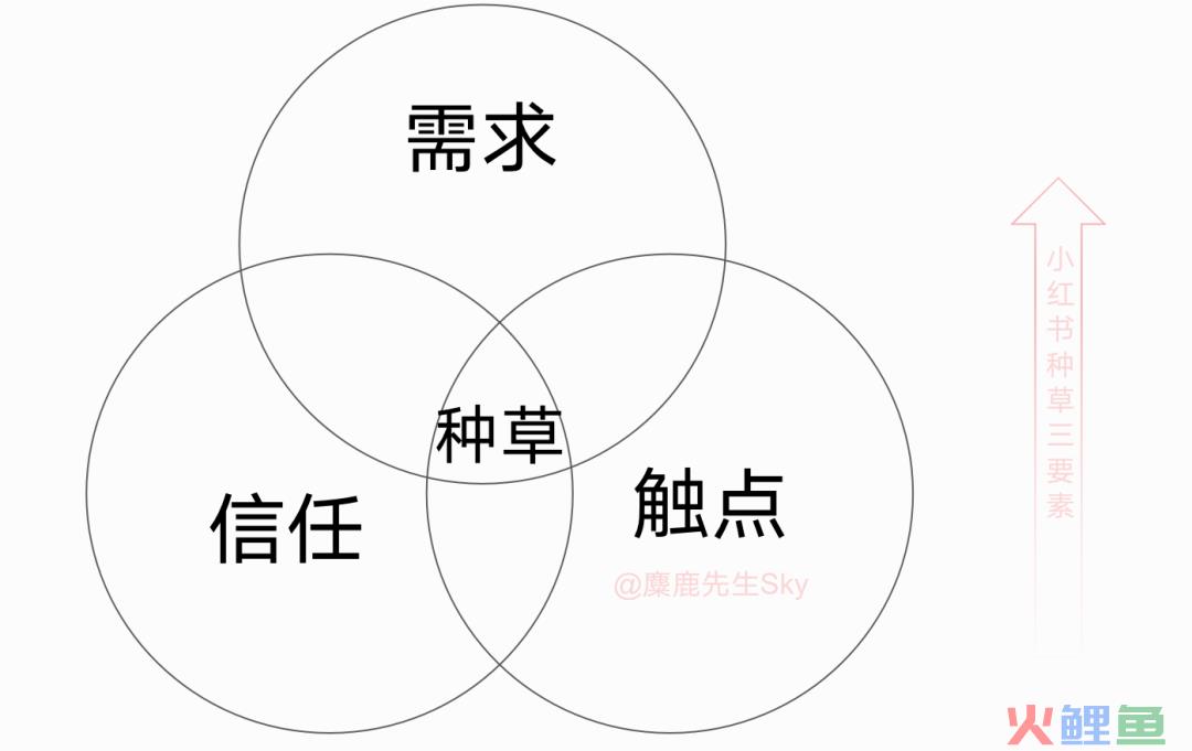 小红书全面发力双11，但这些坑你就别踩了吧....