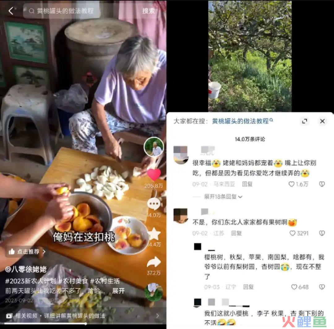 45天涨粉429万，这届年轻人爱上了东北姥姥