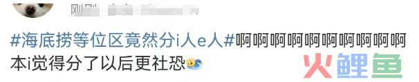 终于，海底捞向社恐妥协了！