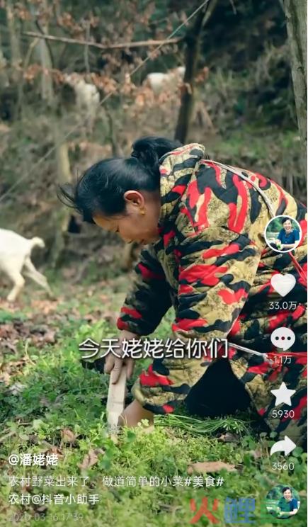 45天涨粉429万，这届年轻人爱上了东北姥姥