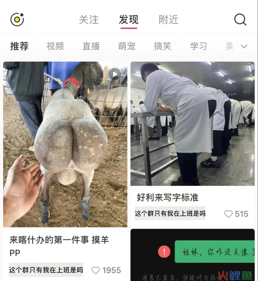 起猛了！好利来开始营销撅屁股了？