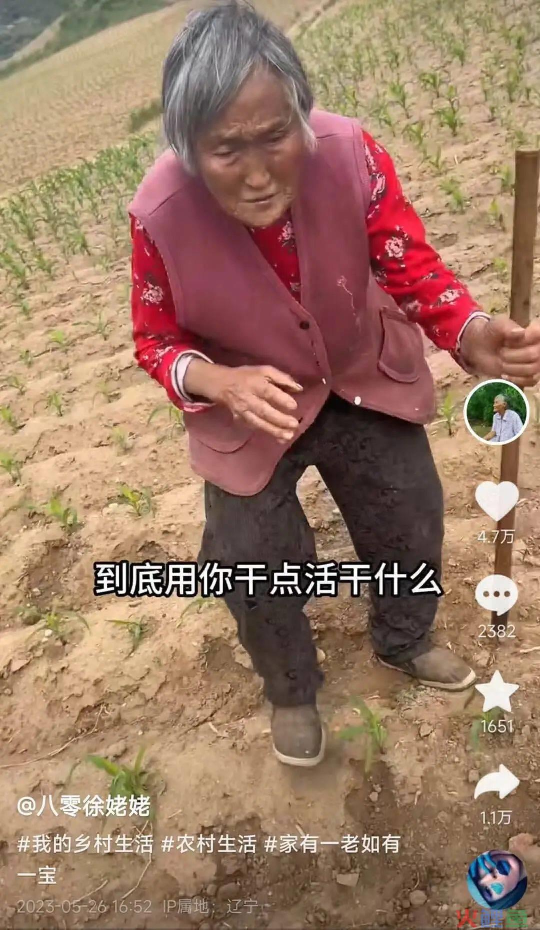 45天涨粉429万，这届年轻人爱上了东北姥姥