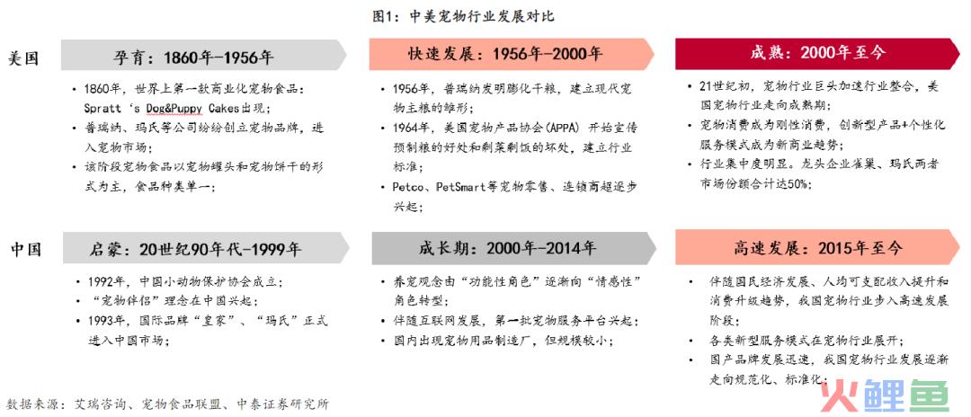 宠物行业还有空间吗？还有哪些潜力赛道？