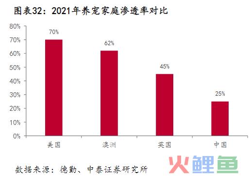 宠物行业还有空间吗？还有哪些潜力赛道？