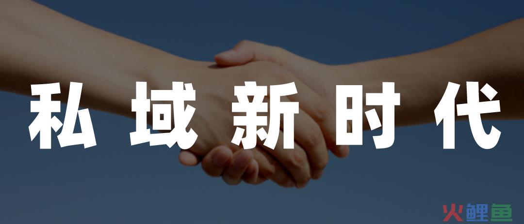 这届双11，宣告了私域时代来临