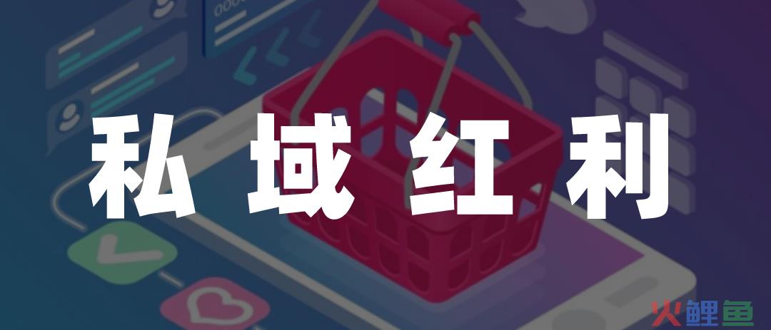 这届双11，宣告了私域时代来临