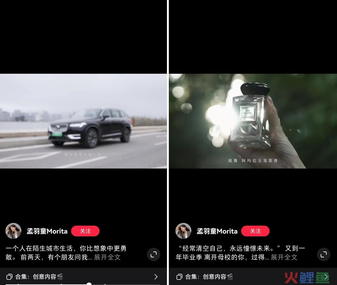 “消失”的董明珠网红秘书，半年躺赚百万