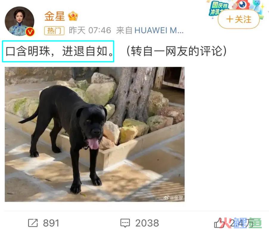 金星黄腔暗讽董明珠王自如热恋，大V证实恋情，大骂流氓男吃软饭