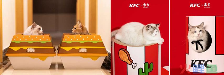 人宠关系升级，食品饮料品牌如何“伺宠而娇”？