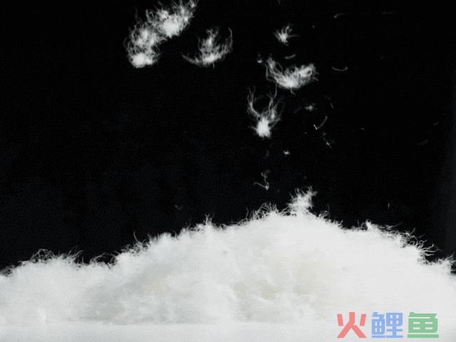 一路涨价的羽绒服，把生意白给了冲锋衣