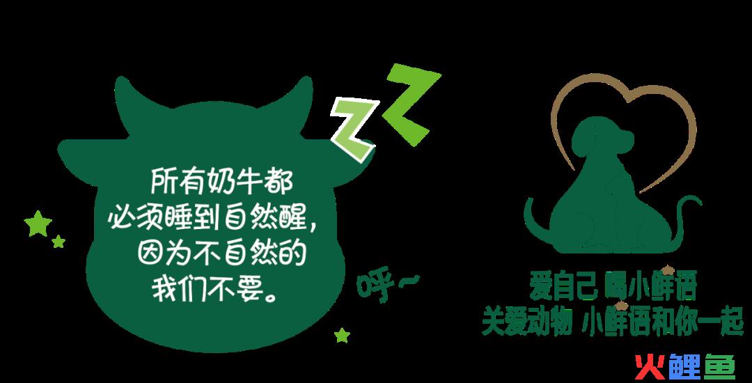 人宠关系升级，食品饮料品牌如何“伺宠而娇”？