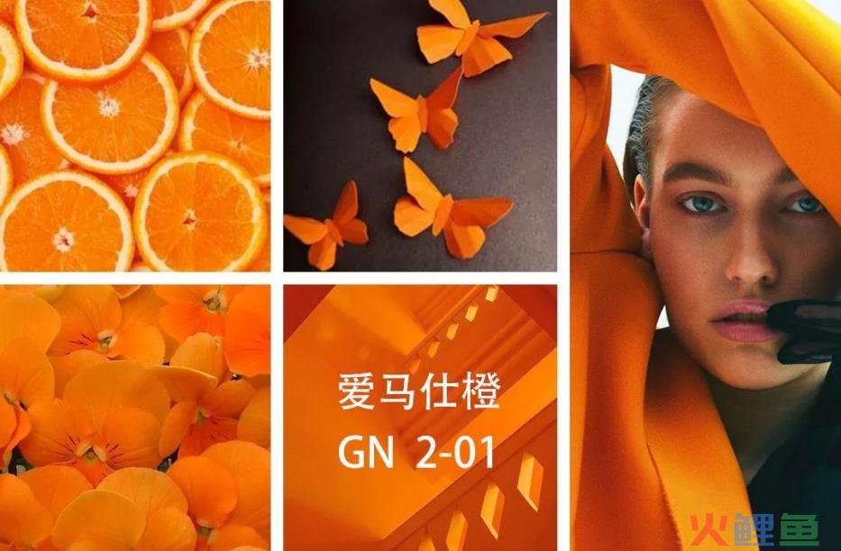 超级品牌体系36讲之21-品牌篇-超级视觉锤