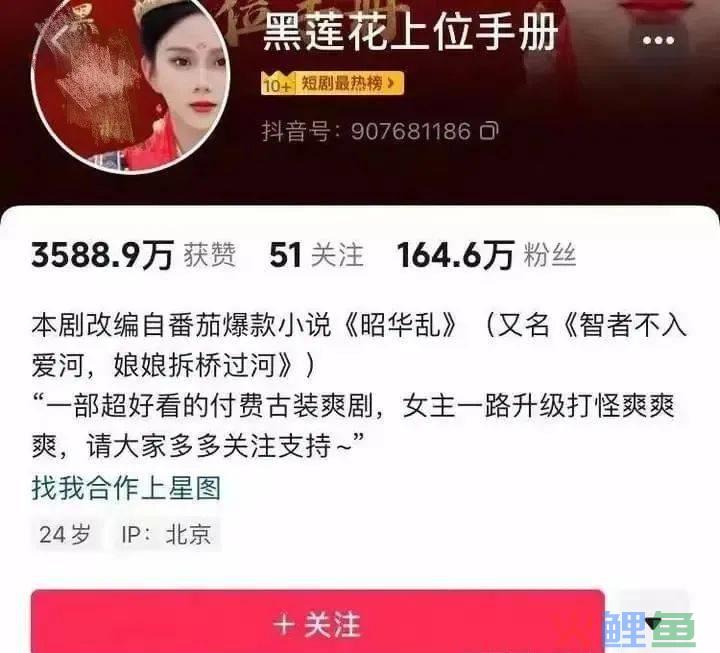 吸金2千万？《黑莲花》爆红后全网下架！抖音短剧该咋做？