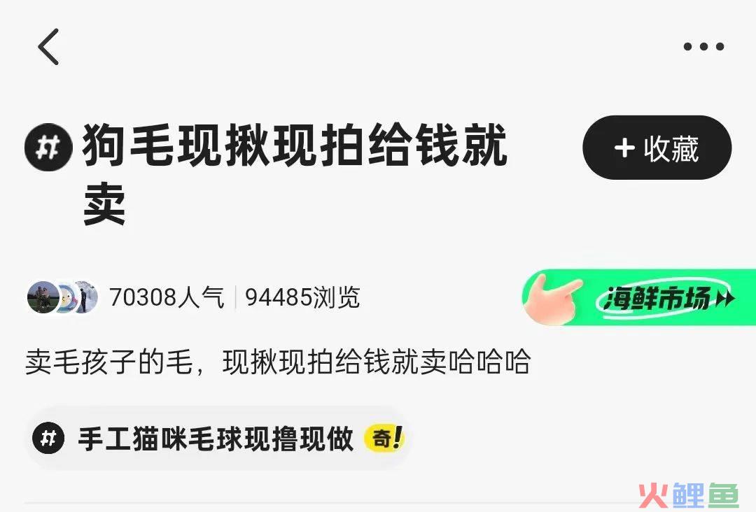 闲鱼，饱和式封号