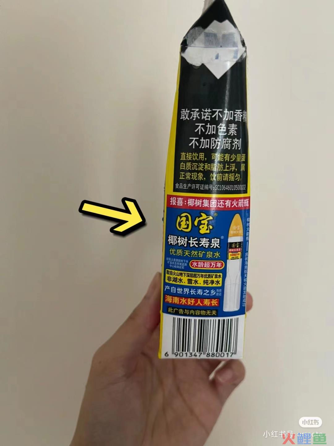 曝光椰树“黑料”，被这新晋网红笑不活了！