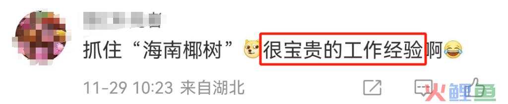 曝光椰树“黑料”，被这新晋网红笑不活了！