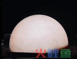 1天90万！比山姆还能装的网红打卡地出现了