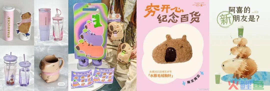 “豚门永存”！躺平佛系的动物IP火了，网梗如何变成“真金白银”？| 雷报