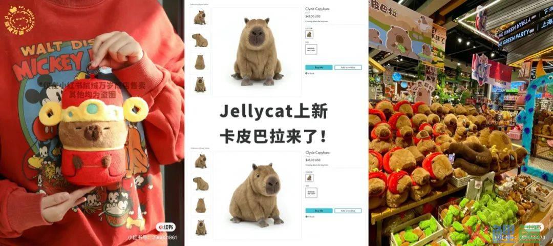 “豚门永存”！躺平佛系的动物IP火了，网梗如何变成“真金白银”？| 雷报