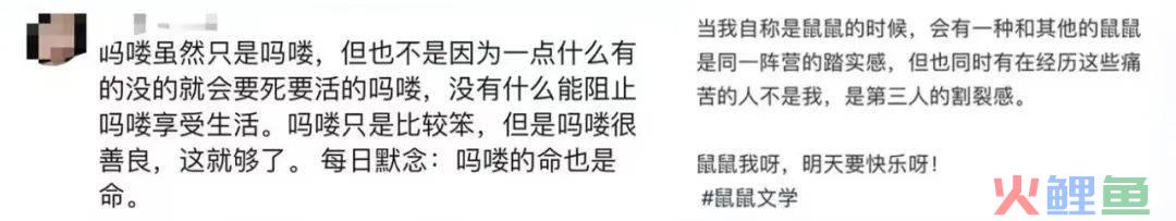 “豚门永存”！躺平佛系的动物IP火了，网梗如何变成“真金白银”？| 雷报