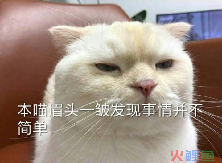 【白象泡面工厂】主题快闪店火了，连悲伤蛙都来排队上岗......