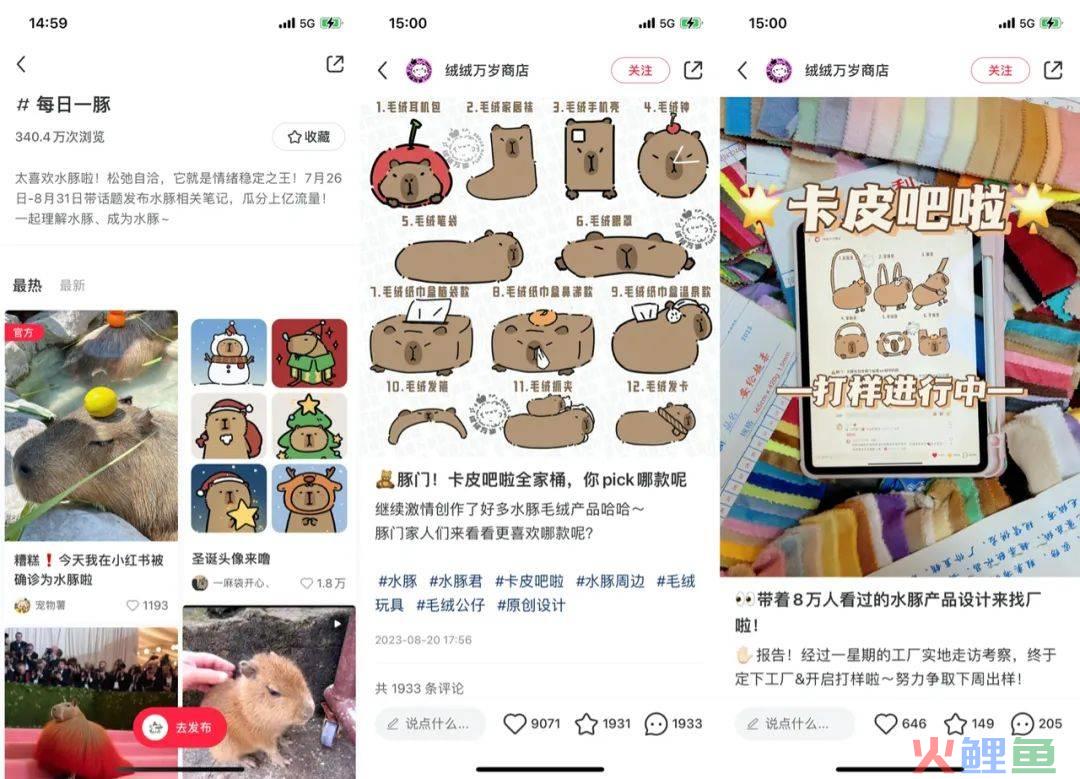 “豚门永存”！躺平佛系的动物IP火了，网梗如何变成“真金白银”？| 雷报