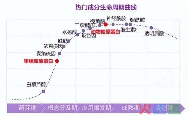 下一个爱美客的机会，甚至空间更大，处于更早期阶段