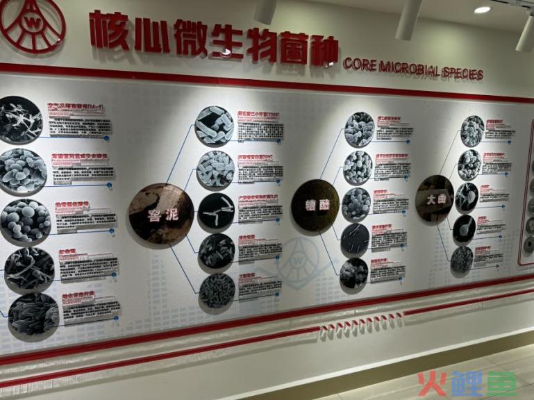 新时代下的五粮液：传统匠心和现代科技的“平衡术”