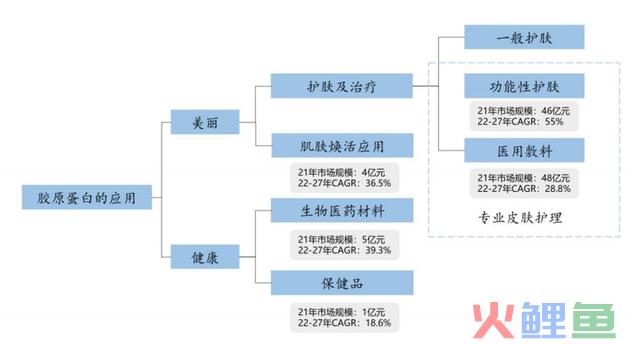 下一个爱美客的机会，甚至空间更大，处于更早期阶段