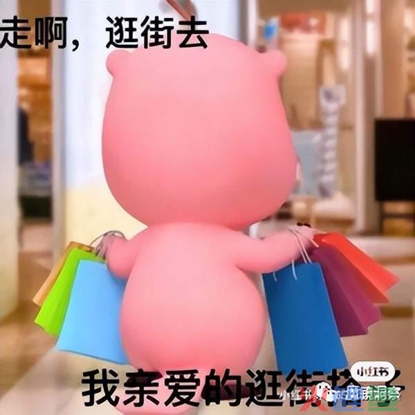 搭子社交兴起，动物文学成热门|社媒消费热点速递