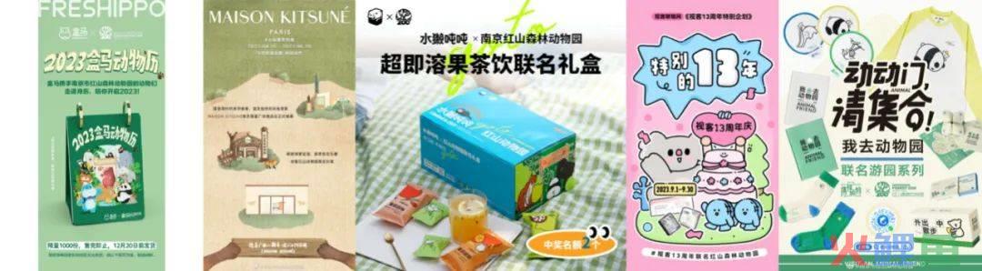 动物园玩IP：你耍猴，我晒虎，谁家动物最靠谱？| 雷报